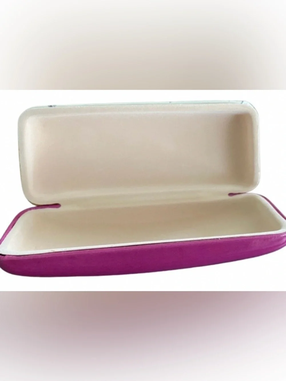 Dalmatian Dog Punch Studio hard case for eye glasses with spring closure.